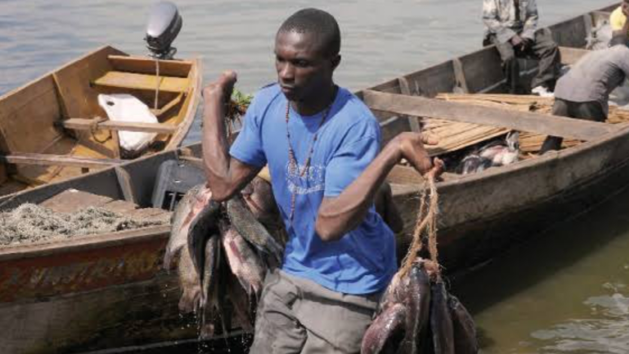 Minister Adoa Decries Increase in Illegal Fishing And Trade