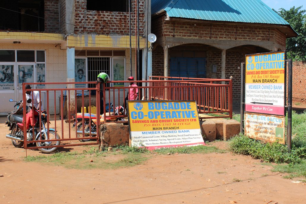 Bugadde Savings Sacco in Mayuge Town Grows from Shs6 Million to Shs28 Billion.