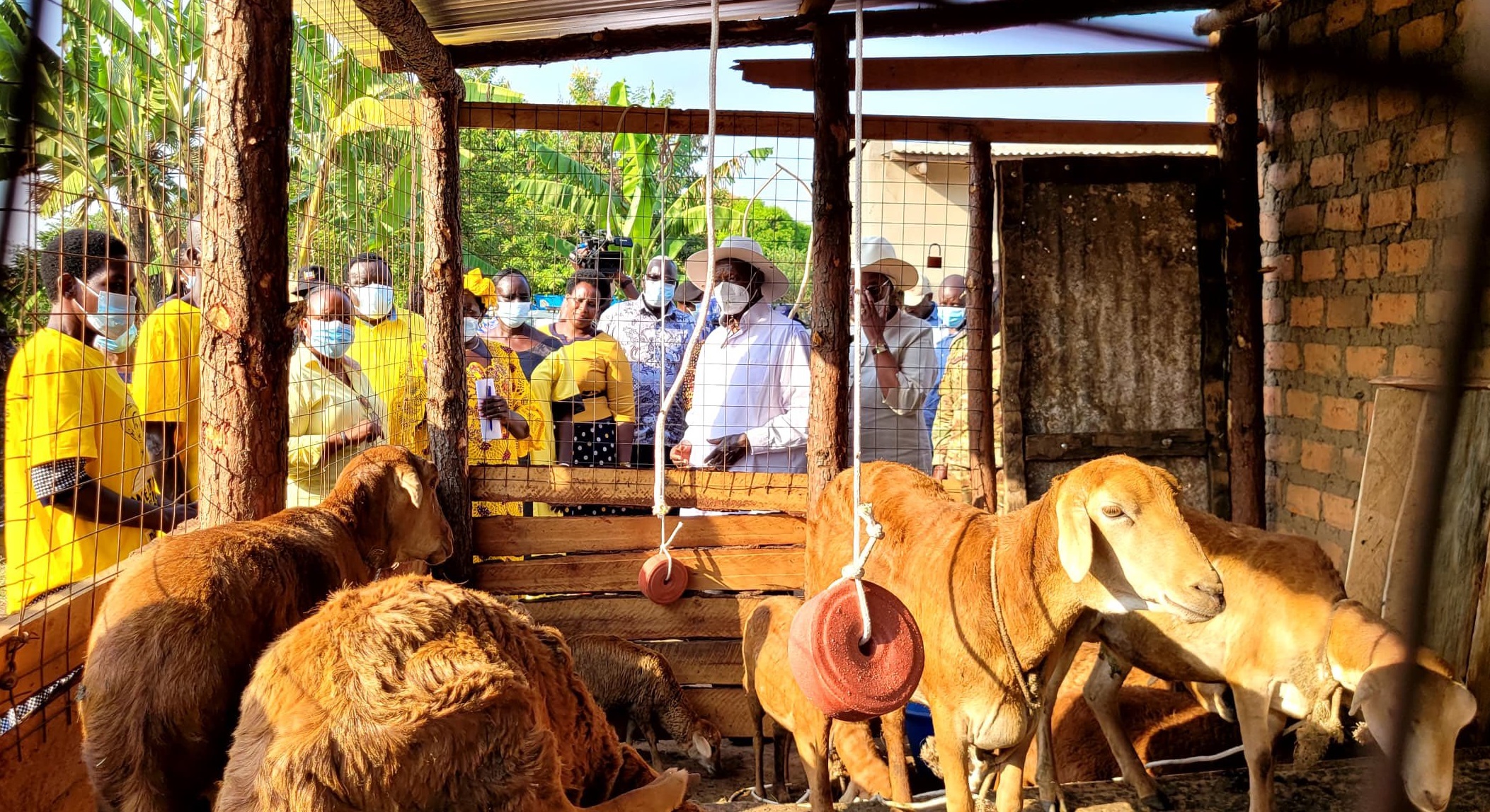 You Have Made A Relationship With Poverty, Museveni Tells Ugandans