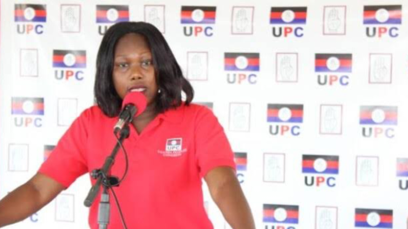 UPC Urges Government to Subsidize Electricity Costs