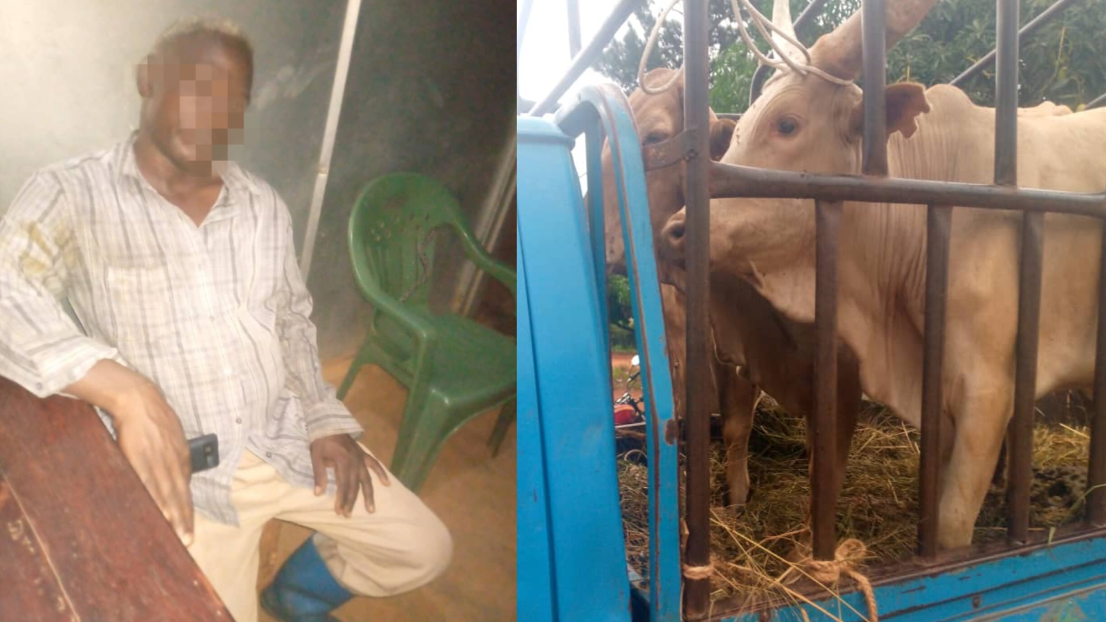Kamira Police Foil Suspected Cattle Theft