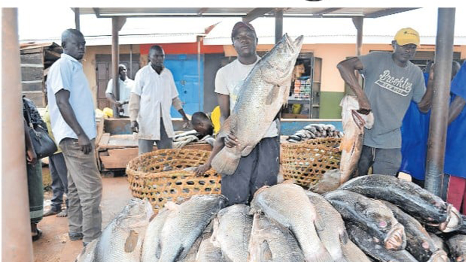Fish Farmers Call For Support As Uganda Launches First Aquaculture Census