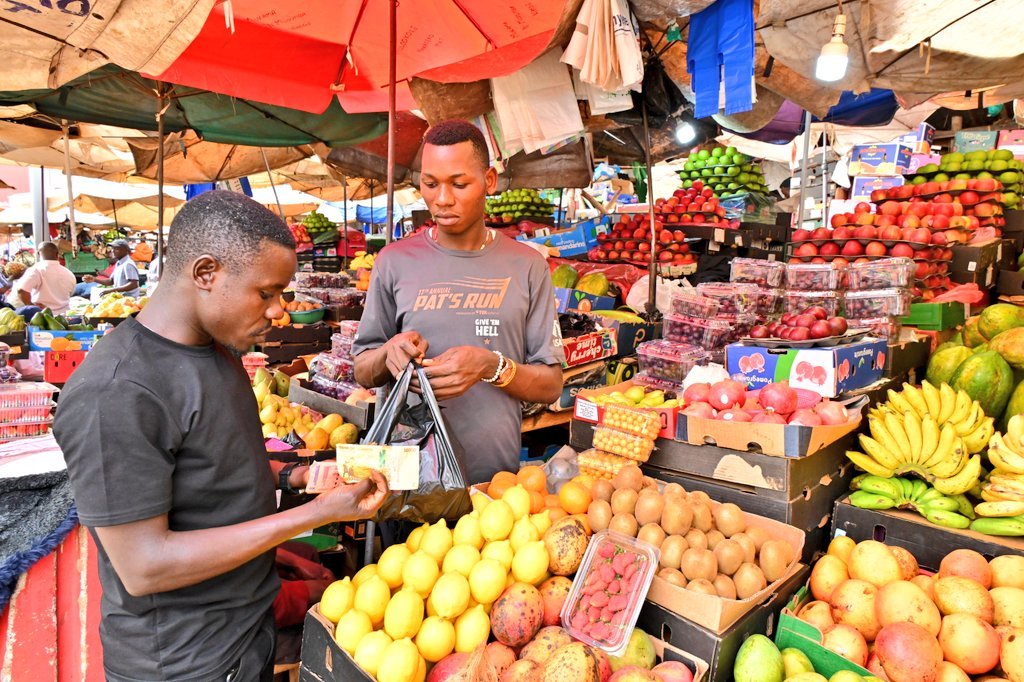 Private Sector Programme Posts 74% Performance as PDM Dominates Budget